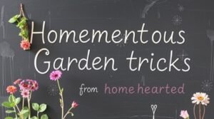 homemendous garden tricks from homehearted