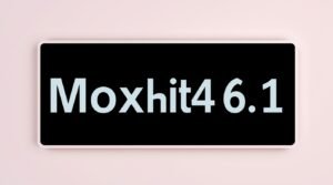 moxhit4.6.1 software system